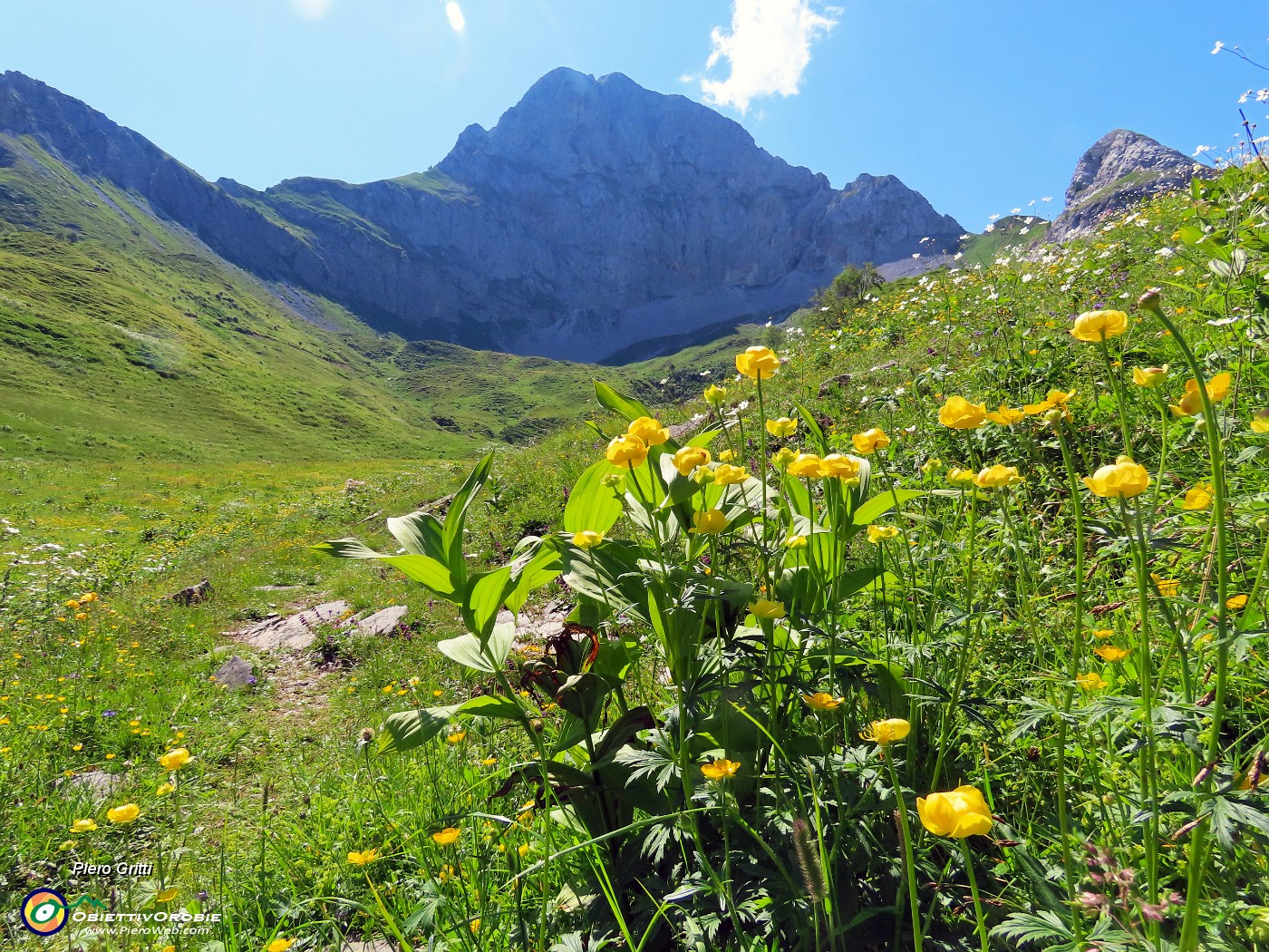 34 Trollius europaeus (Botton d'oro), con vista in Corna Piana .JPG